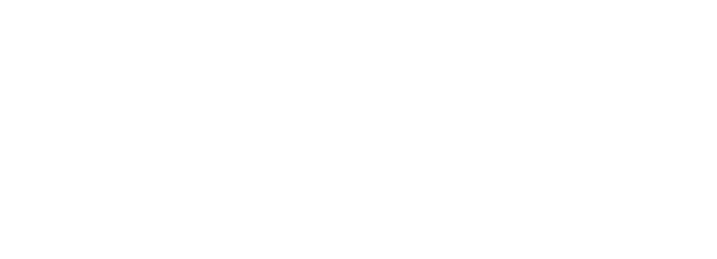 Skillaz - Digital Skills for your Business